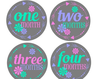 Girl Monthly Stickers / Monthly Baby Stickers Girl Month Stickers / Baby Month Stickers Girl / Baby Girl Monthly Stickers / Belly Stickers