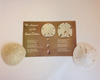 The Legend of the Sand Dollar postcard with two real Sand Dollars