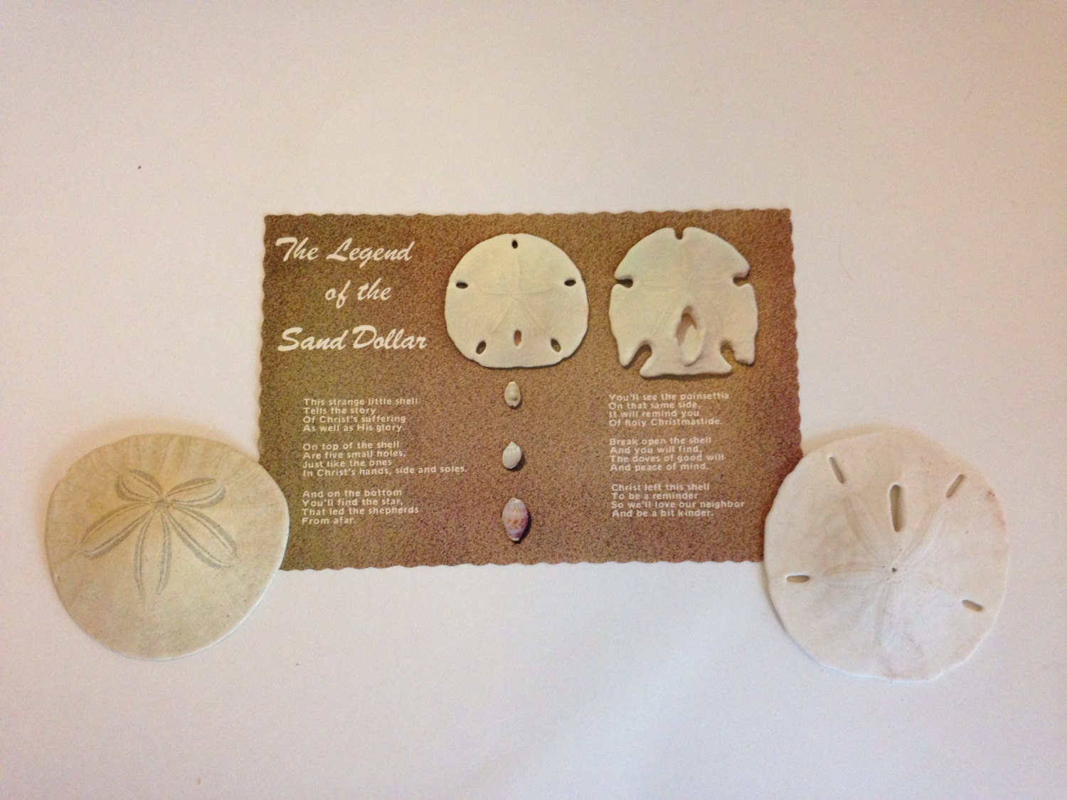 The Legend of the Sand Dollar postcard with two real Sand