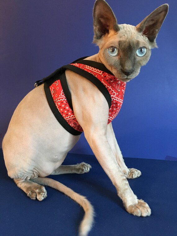 Comfy Cat Walking Harness /Unique Ultra Light by ComfyStyles