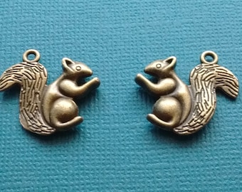 5 Squirrel Charms Bronze- CB2434