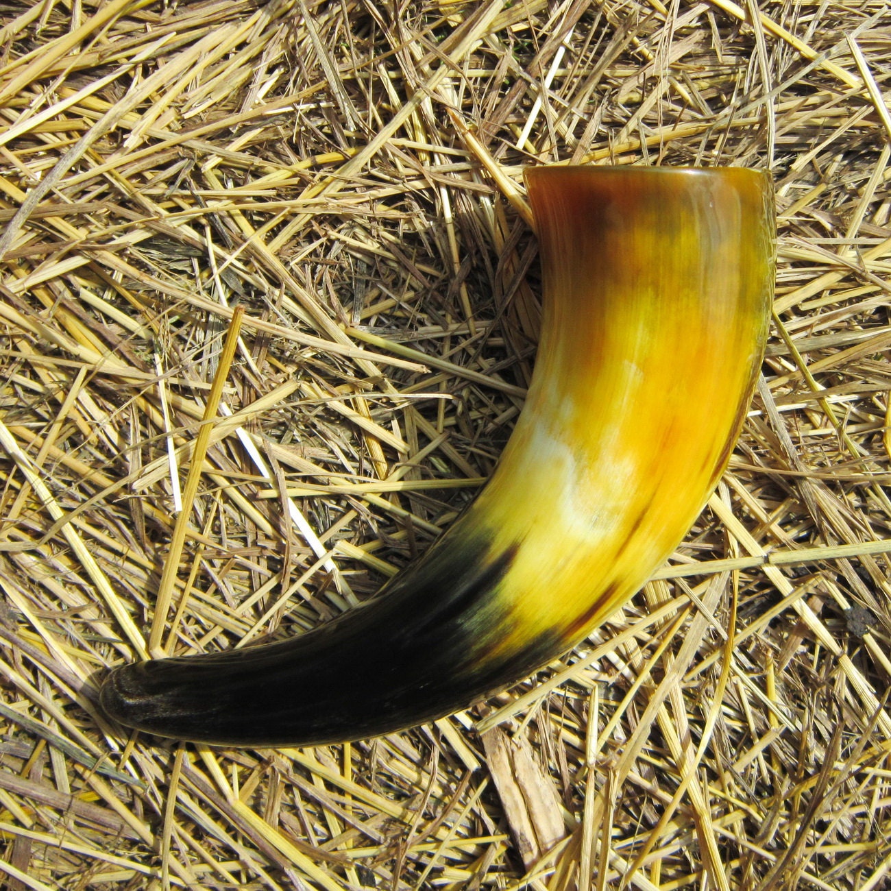 Mead Horn made of Natural Bull Horn Drinking Horn Home Decor
