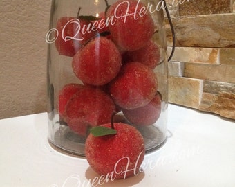 Artificial Beaded Red Apple Fruit Christmas Ornaments Bowl Filler Lot of 6!