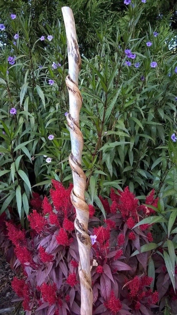 Vine Twisted Walking Stick Hiking Staff Trekking Pole. Fishing