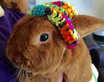 Bunny Beannie Hat for Your Rabbit
