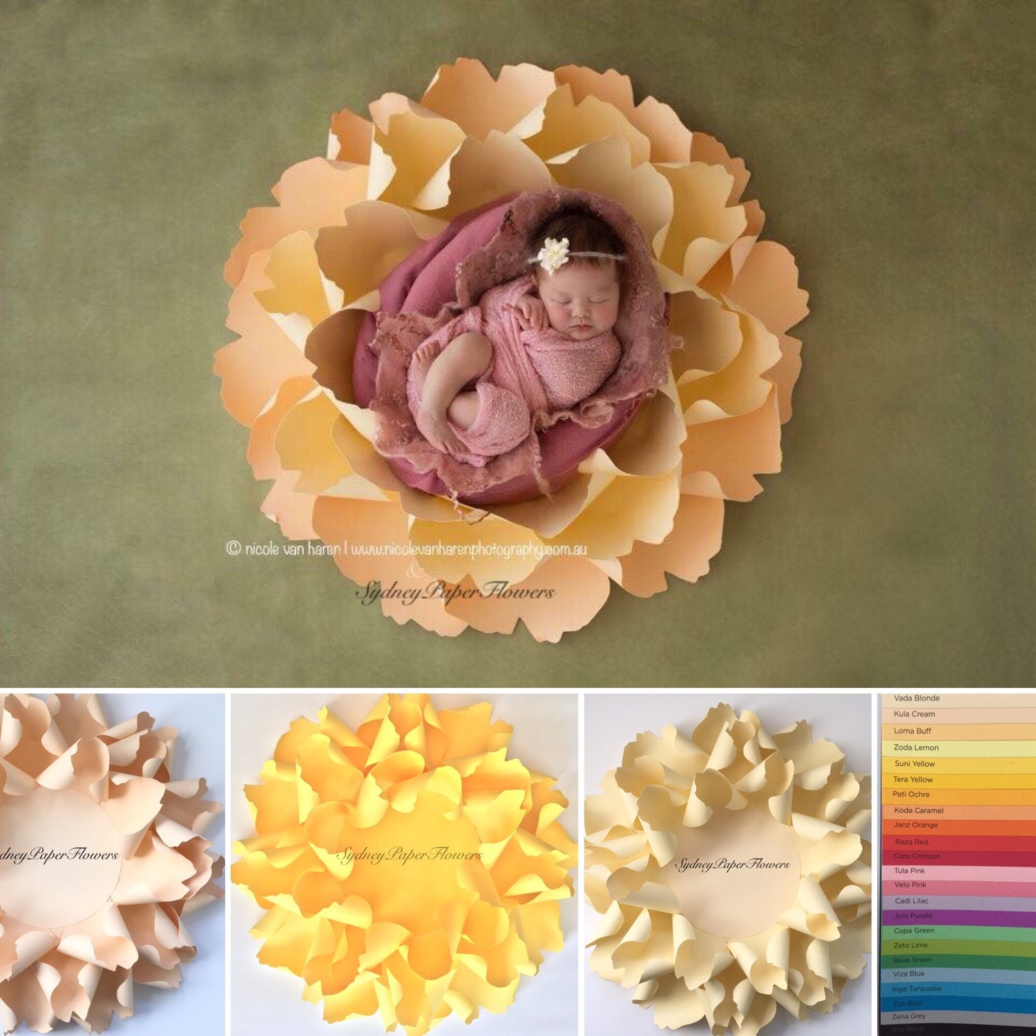 Updates from SydneyPaperFlowers on Etsy