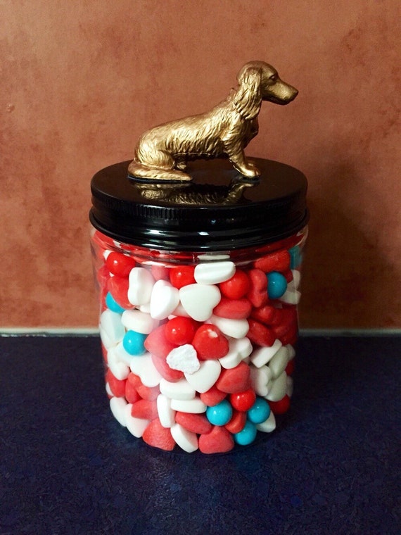 Treat Jar plastic dog treat jar dogs treat jar jars by Yarramalong