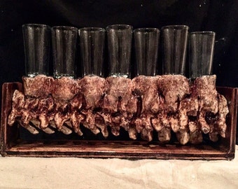 Vertebrae Shot Glass Holder