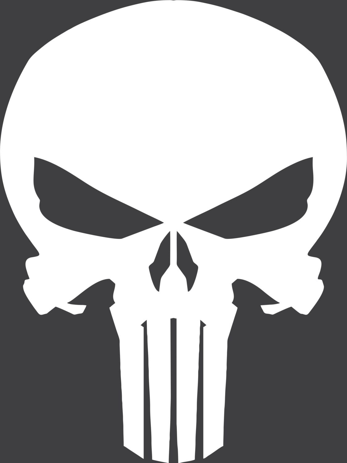 Punisher Skull / American Sniper / Movie / military / vinyl