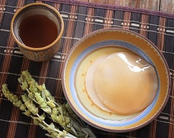 Kombucha Scoby - Live, Organic, Healthy Mother Culture with a Starter Tea