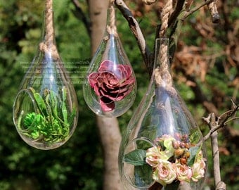 Set of 3 glass teardrop terrariums held by rope/wall hanging plant terrariums/hanging succulent planter holders decorate bedroom window