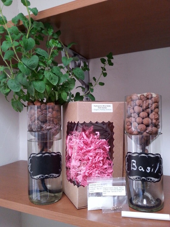 Hydroponic Garden in Wine Bottle / Indoor by LookingSharpCactus