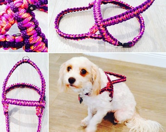 Paracord Dog Harness - Dog Harness - Macrame Dog Harness - Handmade Dog Harness - Paracord Harness - Macrame Harness - Animal Harness