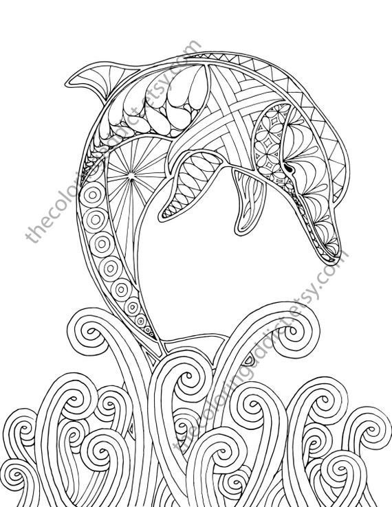 dolphin coloring page adult coloring sheet by