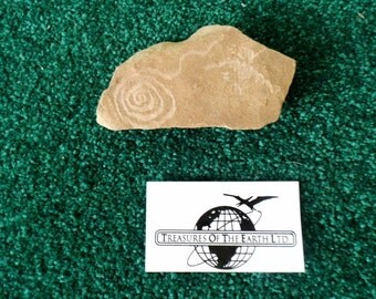 Faux Petroglyphs - Prepared on Sandstone