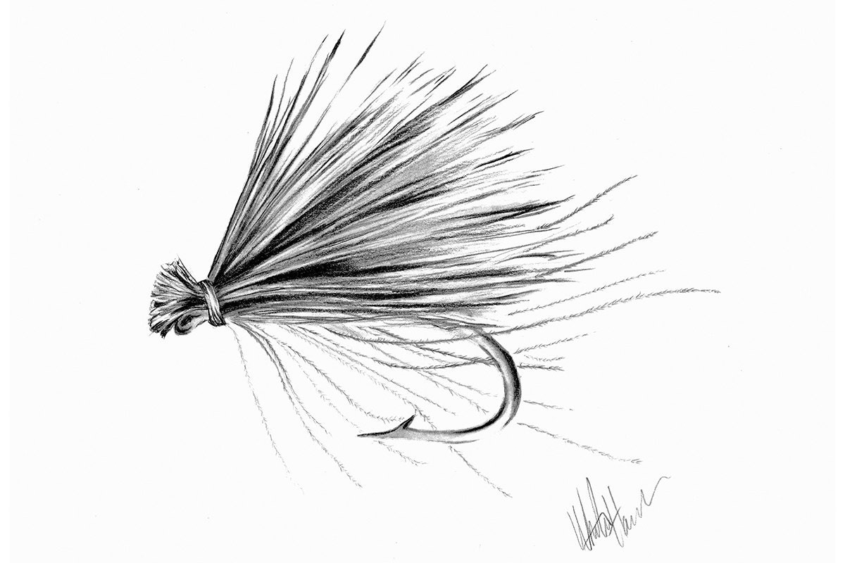 CDC Elk Hair Caddis Print of Original Pencil Drawing