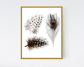 Feather Wall Art feather wall art | etsy Feather Wall Art feather wall art | etsy