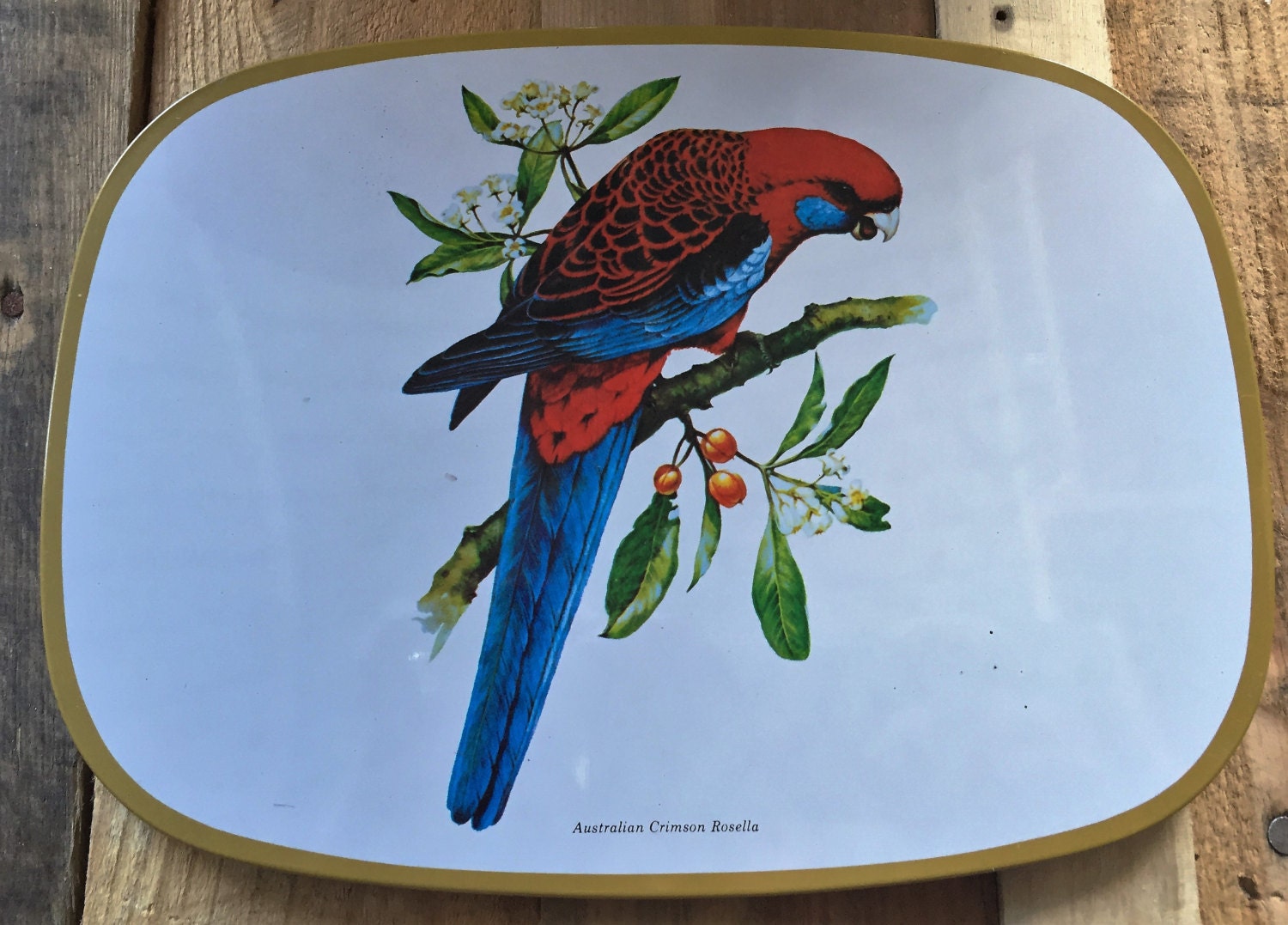 Vintage Set of 3 Australian Birds Cork Placemats / By Jason NZ