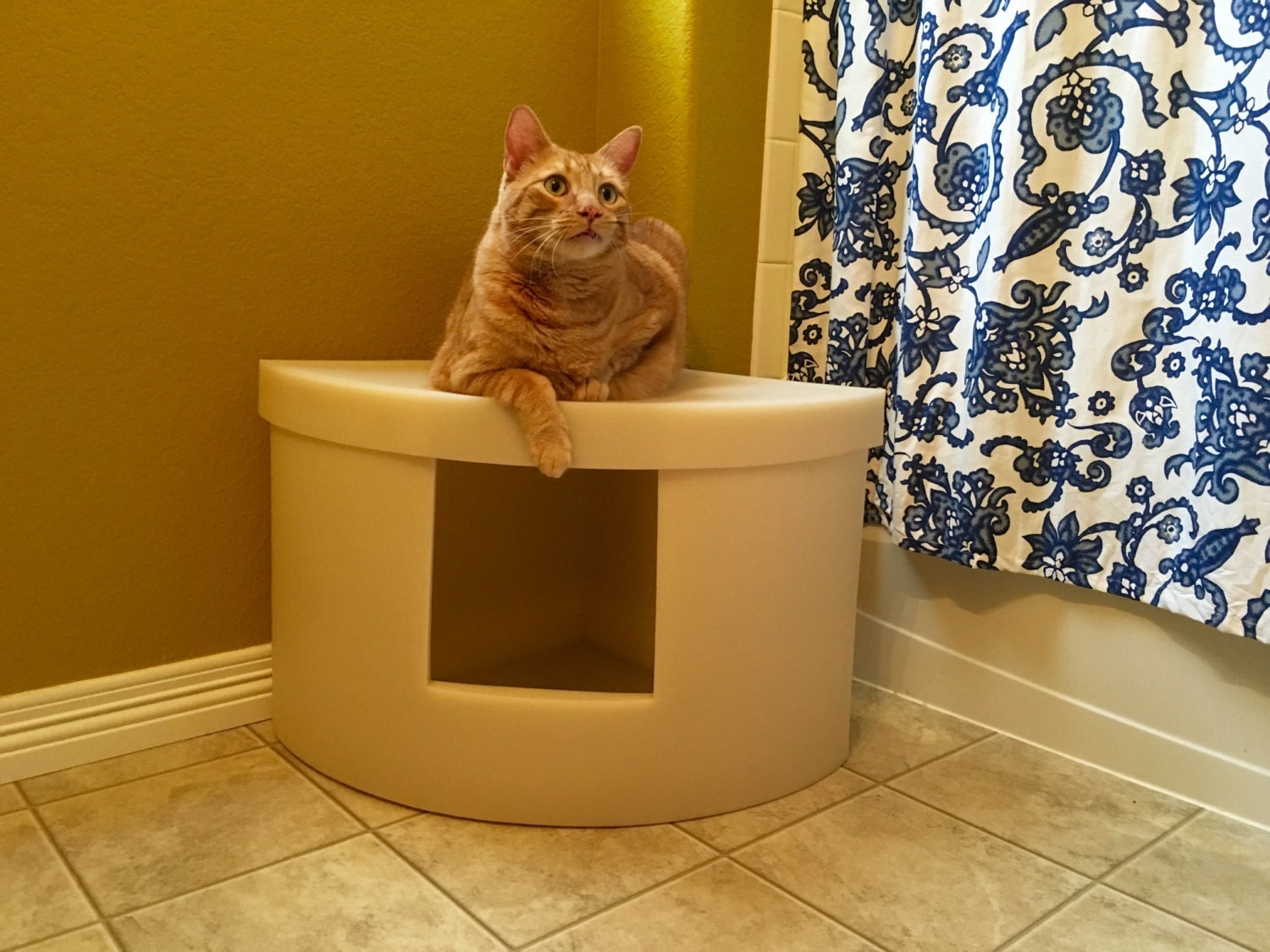 Kitangle Corner Kitty Litter Box