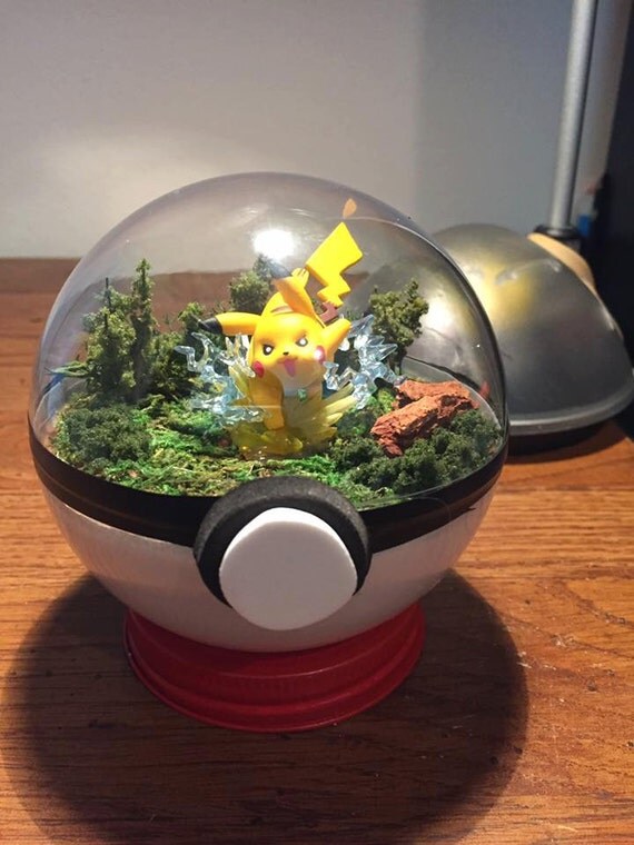 Pikachu Pokeball Terrarium