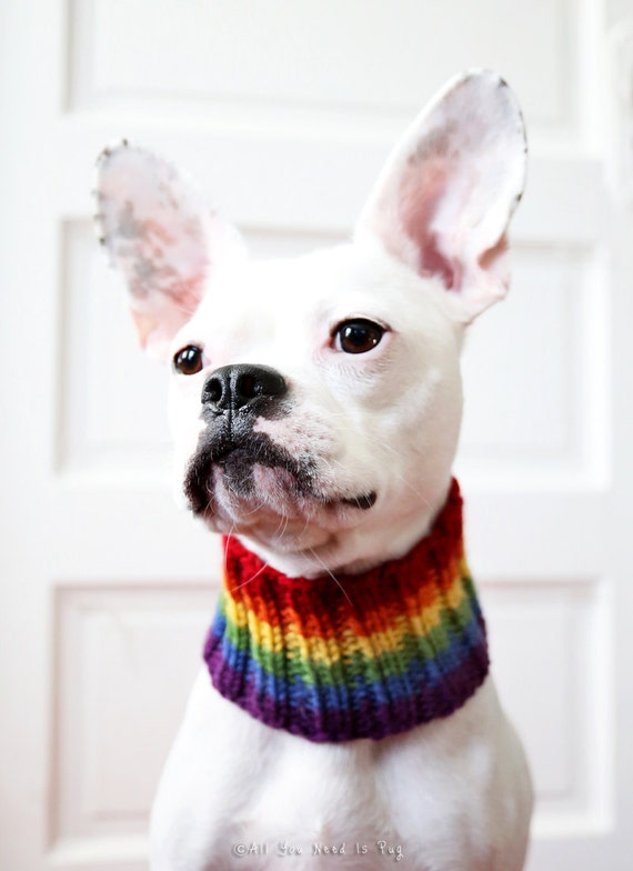 Rainbow Neck Warmer for Dog Neck Warmer Dog Scarf Knit