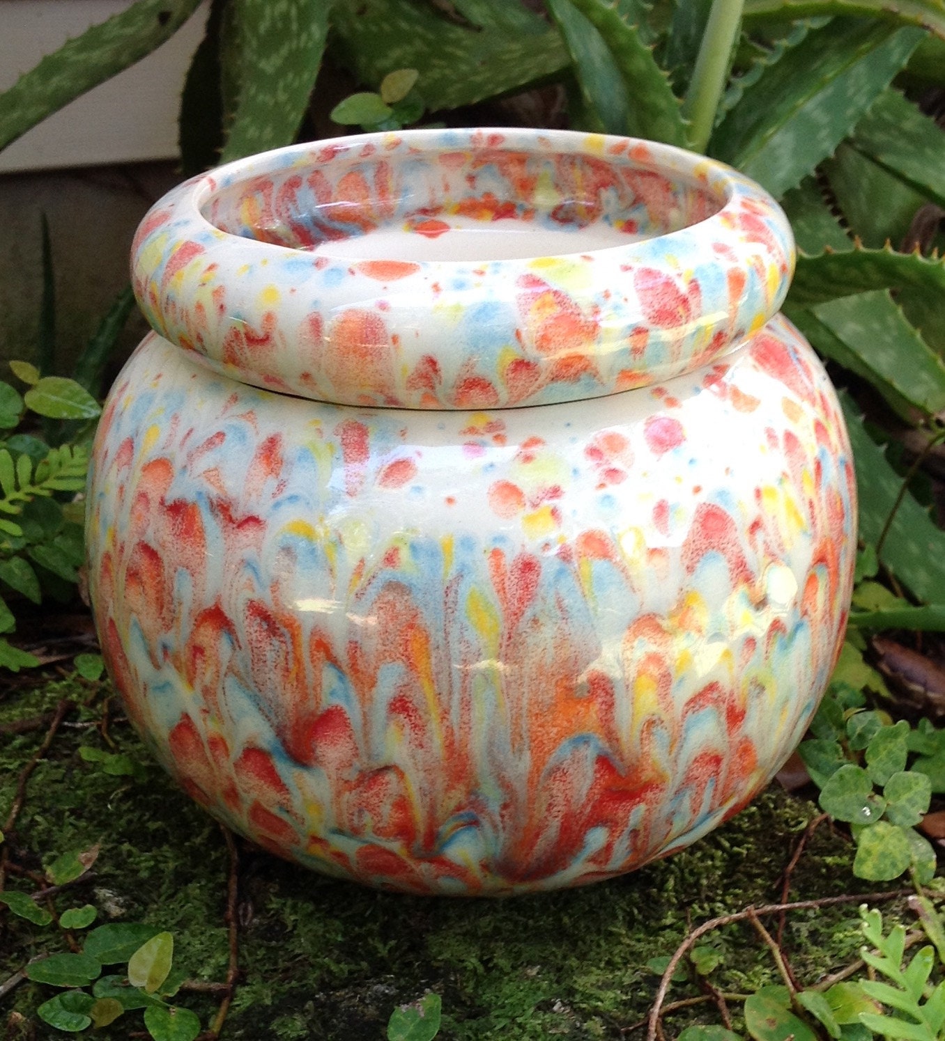 African Violet pot large round white multi color bright