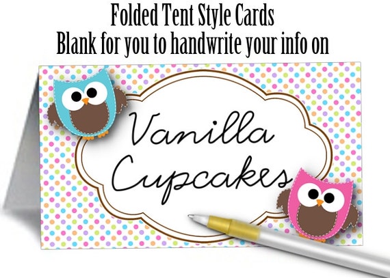 12 Tent Style Place or Name Cards, Buffet Food Labeling Cards, Table Signage, Baby Shower, Baby Gender Reveal Party, Baby Pink & Blue Owls Il_570xn