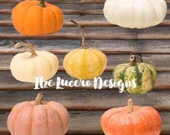 Pumpkin clip art PNG Fall Thanksgiving photo , overlays, digital embellishments, digital props