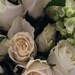 Suzanne Sharpless