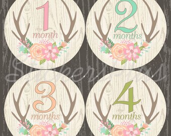 Baby Month Stickers Monthly Stickers Baby Girl Stickers Baby Milestone Sticker Baby Girl Floral Woodland Deer Antler Antlers II Gift