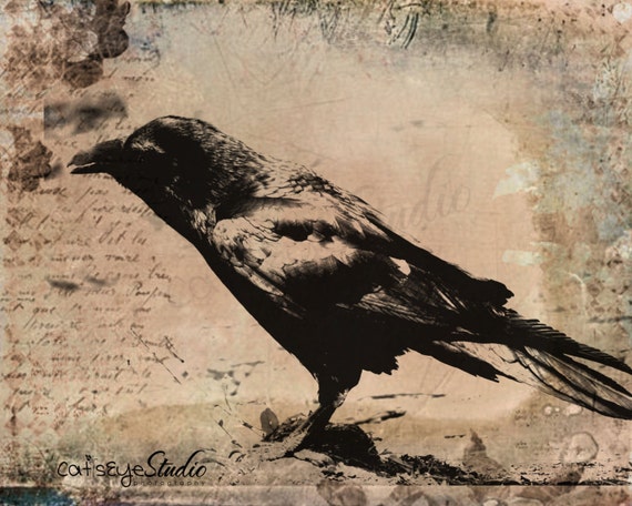 Vintage Grunge Raven Sepia Photo Surreal Black Bird Art Print