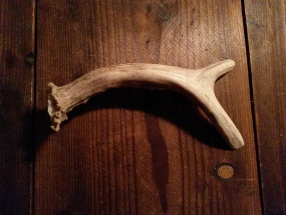 Whole Deer Antler Handle for Cabinet Doors and by AntlerArtisans