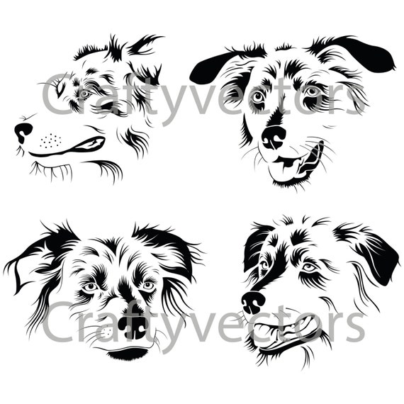 Download Australian Shepherd Portraits Vector File SVG