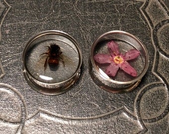 REAL Honey Bee Flower Set Insect Different Specimen PAIR Resin Taxidermy Double Flare Steel Tunnel Gauge Plugs 22mm
