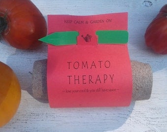 Occupational therapy gift, Heirloom tomato garden seed kit with seed starting supplies garden gift diy kit physical therapy gift