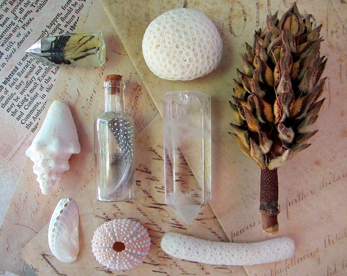 Specimen / Crystal / Altar items Sale for witchcraft, crystal healing, photography, jewelry design. Each item can be purchased individually.