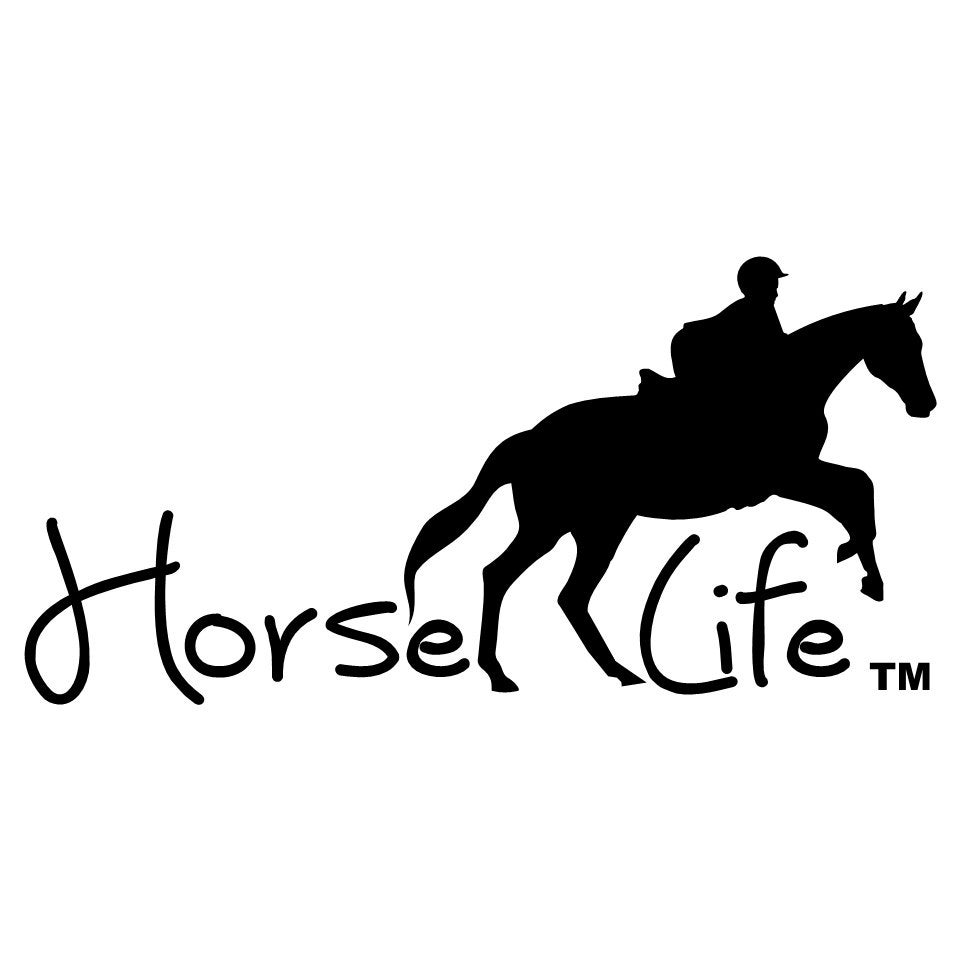 HORSE LIFE DECAL horse pony sticker in stock many