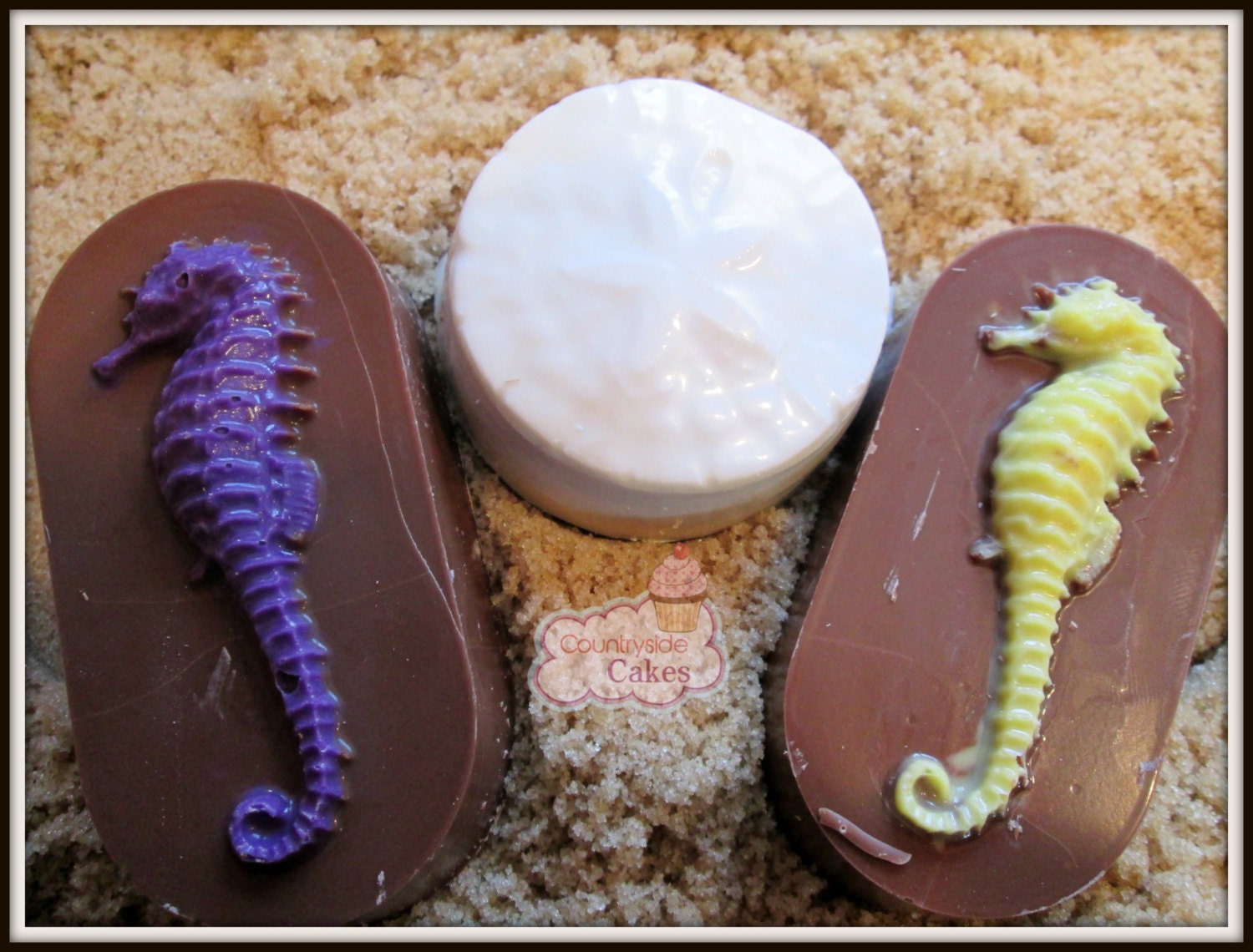 Seahorse chocolate covered cookies Sand Dollar chocolate