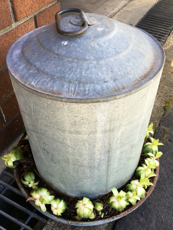 Vintage Chicken Feeder Planted With Hens And By PosyBoutique   Il 570xN.948707508 Llbv 