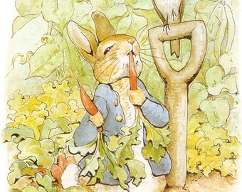 Peter Rabbit ACEO Print