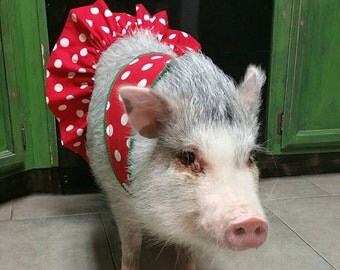 Image result for pig dressed in denim
