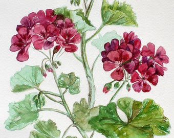 Botanical watercolor | Etsy