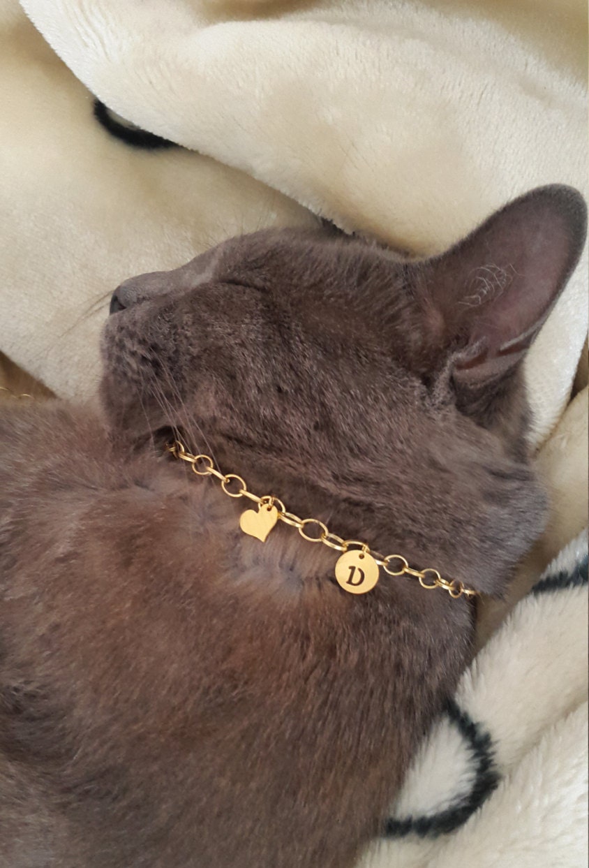 personalized Cat collar cat luxury collar cat id tag pet id
