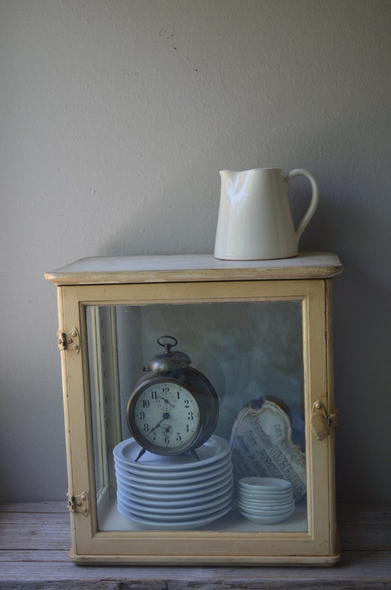 Small Antique Display Case