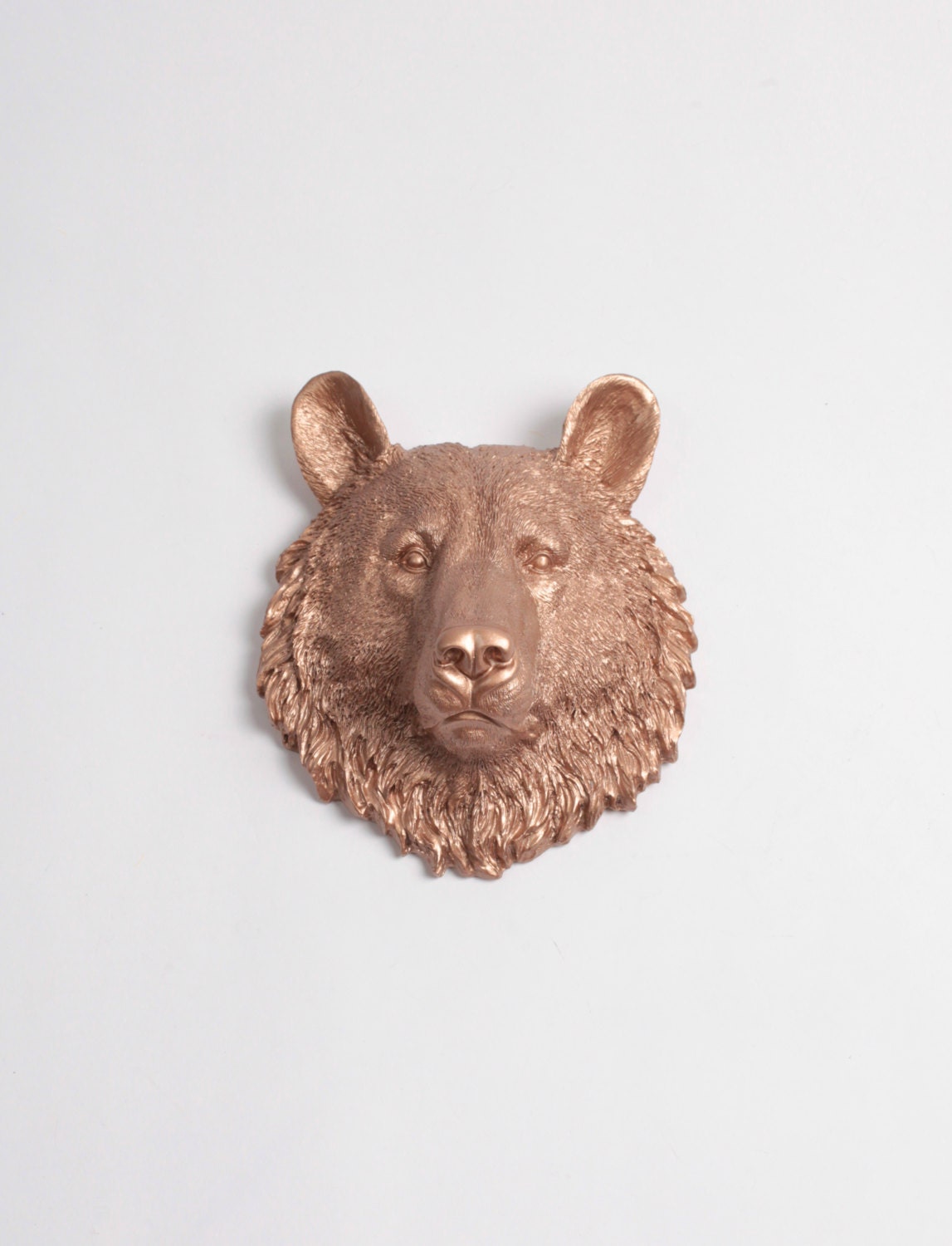 teddy bear head wall mount