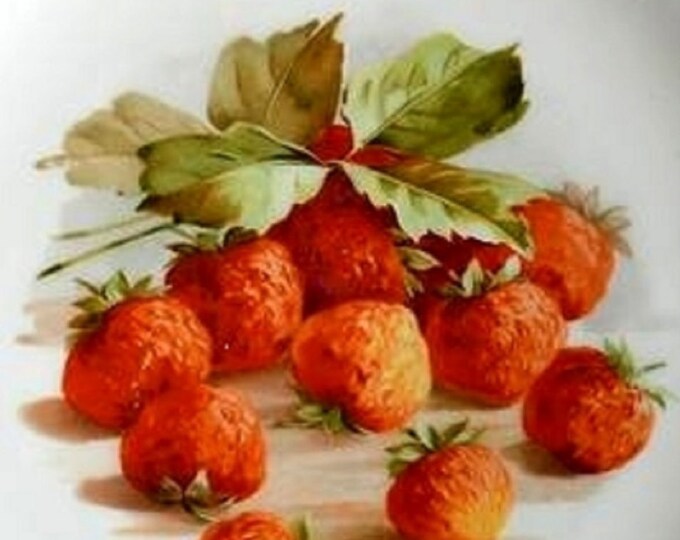 Schumann Arzberg Bavaria Strawberry Strawberries Salad Plate, Plates with Strawberries, SCH16