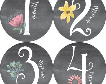 Monthly, Baby Stickers, Baby Shower or Baby Gift, BABY GIRL, 1-12 months, Chalkboard-Like background, Florals, Vines, Leaf