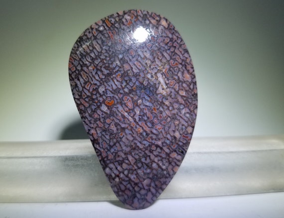 dinosaur gem bone