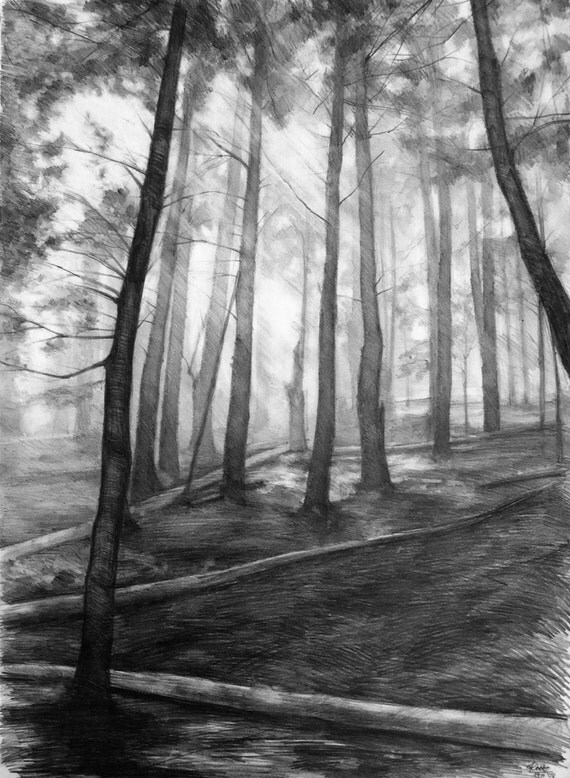 dark forest ORIGINAL drawing by Katarzyna Kmiecik / pencil