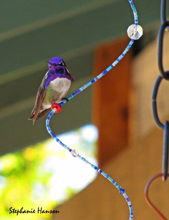 Hummingbird Swirlie Perch by HappyHummerPottery on Etsy